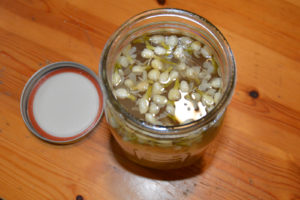 Lemongrass base, re-heated and steeped with jasmine flowers from the local Asian market is a mild and delicious drink.